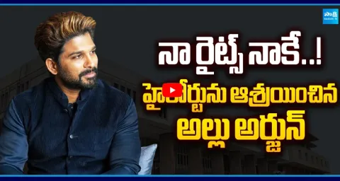 Icon Star Allu Arjun Moves Delhi High Court to Protect His Personality Rights  3