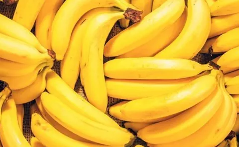  Why  bananas are  in curved shape interesting facts