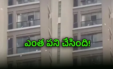 woman throws Rs 1 crore cash from highrise apartment rush to collect