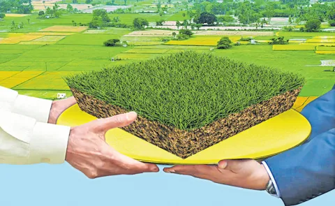 NPSPL Chemicals to get 75 percent subsidy on investment