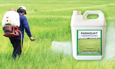 Deadly Herbicide Paraquat Banned in Telangana