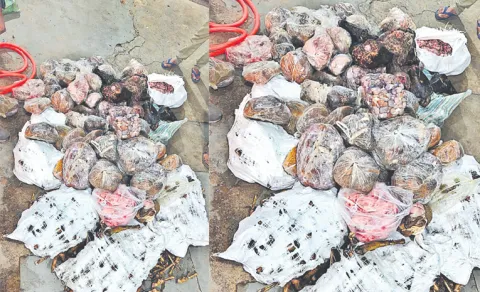 1000 kg Rotten Meat Seized Mangalhat Police Raid