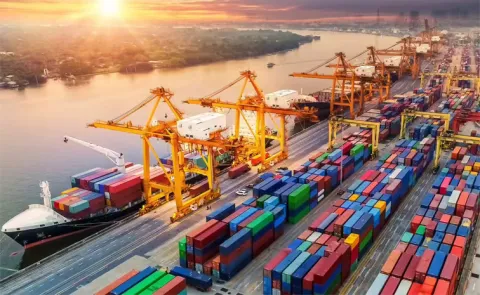 India Grants SEZ Units Duty Relief Domestic Sales Boost5