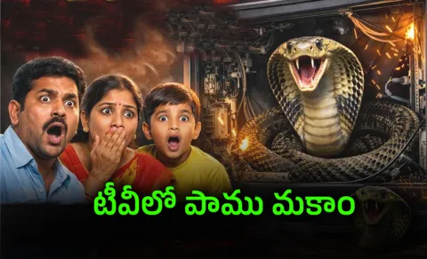 tv inside 8 feet venomous snake family shocked viral video