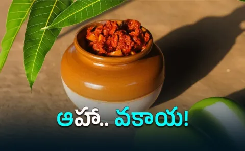 Mango Pickle season mouthwatering Andhra Avakaya Varieties