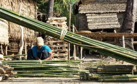 Sagubadi: Why Bamboo Needs a Brain Before It Becomes an Industry