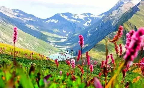 Travel Guide: Best places in Kashmir to visit in summer