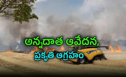 Global Heatwaves Threaten Food Security UN Warns Rising Prices Crop Losses5