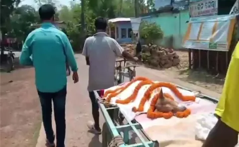 Stray Dog KaliFights Venomous Snake, Saves 30 Children In Odisha