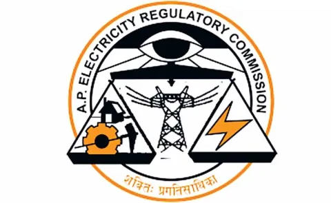 Distribution companies that bought electricity without permission