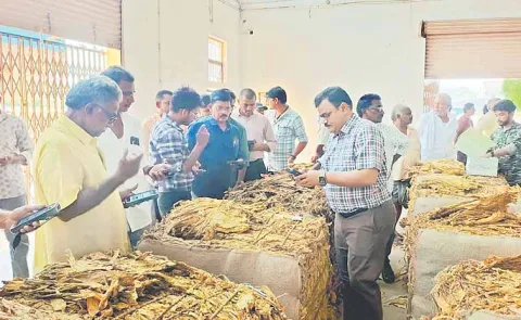 Unpromising tobacco prices