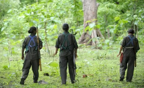 Large-Scale Maoist Surrende At Telangana Police