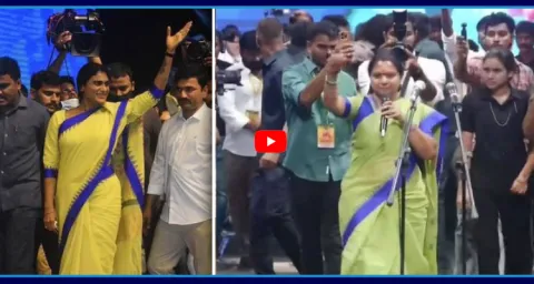 New Parties Born Out Of Family Politics 1