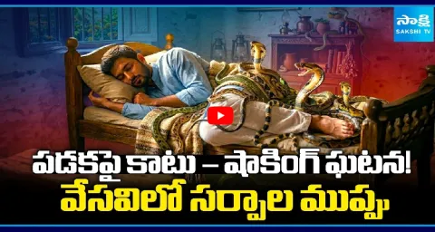 Snakes Entering Homes In Summer Shocking Incident In Kerala 1