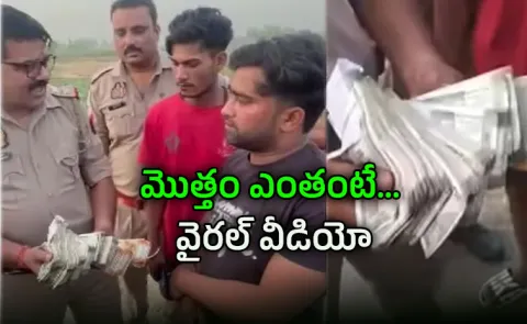 Cash Rain On Up Highway: Rs 4 Lakh Found Scattered In Shamli
