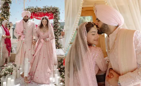 Actress Mehreen Pirzada Wedding And Husband Details