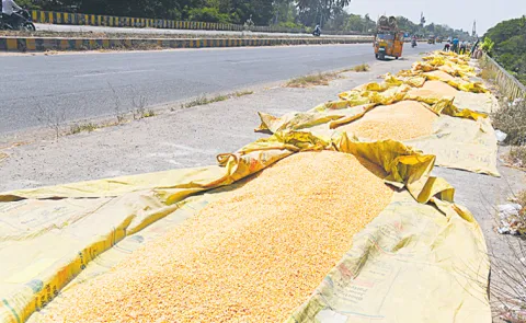 Chandrababu Naidu govt: Farmers Worry lacking of Support price for crops