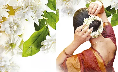 India leads jasmine production