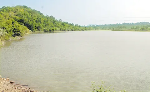 Health survey for ponds in Telangana