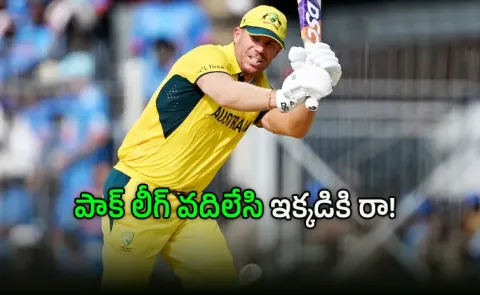 No Need For That: Warner Reply To Fan Asking Him To Leave PSL For IPL2