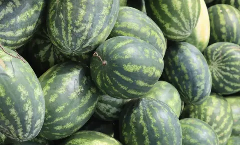 Which City Is Known As The Watermelon Capital Of The World