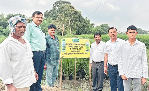 IFFCO Nano Urea is a revolutionary nanotechnology-based liquid fertilizer