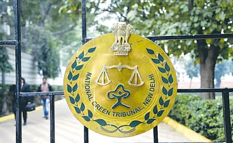 National Green Tribunal Green signal for Musi project