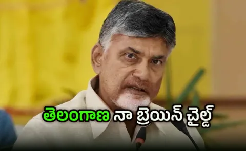 CM Chandrababu on AP Bifurcation Justice