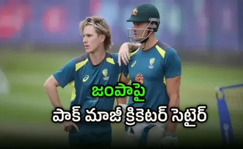 Ex-Pakistan batters bizarre claim on Adam Zampa stuns fans
