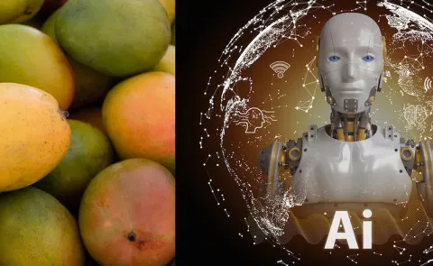 How Chemically Ripened Fruits Are Ruining Your Health