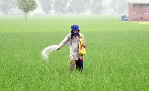 West Asia Tensions Fertilizer Supply India Ramps Up Urea Imports Kharif Season1