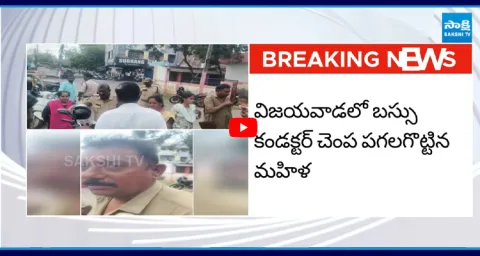 Woman Slaps Conductor for Asking Her to Buy a Ticket  1