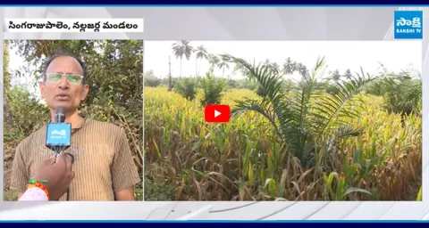 TDP Leaders Grabbed NRI Kotharu Pradeep Chakravarthi Land 1