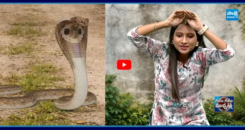 Playing With Snake For Reels To Go Viral 1
