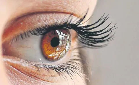 Drug resistance in eye infections on the rise