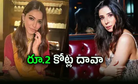 Hansika filed defamation suit on  sister in law over domestic violence