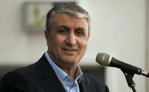 Iran Nuclear Chief Says Protecting Right To Uranium Enrichment Necessary