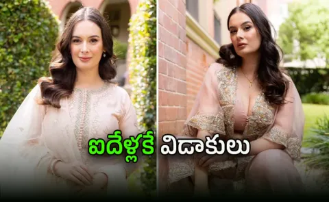 Bollywood Actress Evelyn Sharma have decided to part ways with Husband