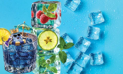 FunDay Story On Craft Ice