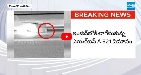 Aircraft Sucks Person into Engine