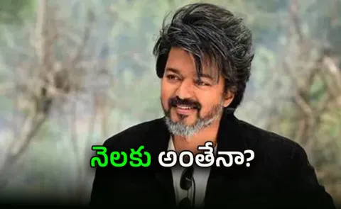 Taminadu Vijay CM Monthly Salary Compare With Movies