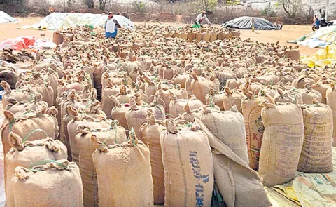 Farmers problems with the way crops are purchased in Telangana
