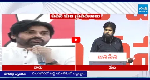 Pawan Kalyan Contrvercial Comments On Caste 1