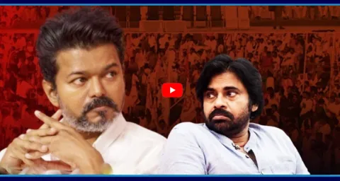 Janasena Cadre Fires On Pawan Kalyan After TVK Vijay Win 1