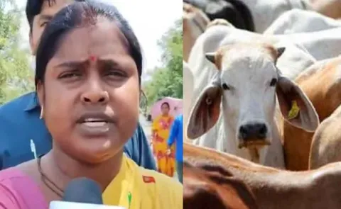 Show Birth Certificate Of Cow Says BJP MLA Rekha Patra