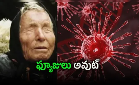 Did Baba Vanga predict Hantavirus outbreak?
