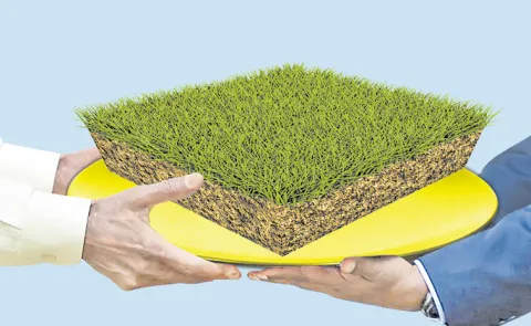 Valuable Land Allotted to Graydon Energy in Naidupeta