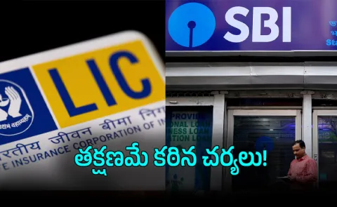 Govt Tightens Belt SBI LIC Face Travel Fuel Curbs to Cut Costs Boost Economy4