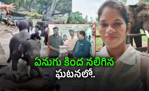 Dubare Elephant Incident: Husband Donates Tulsi Eyes Viral