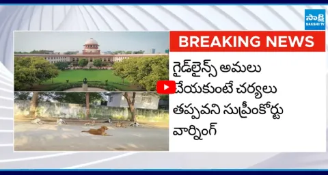 Vaccinate And Release Stray Dogs Orders Supreme Court 1